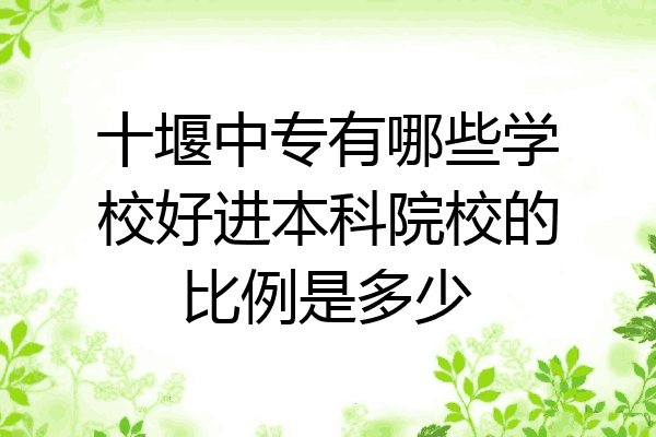 十堰中专有哪些学校好进本科院校的比例是多少
