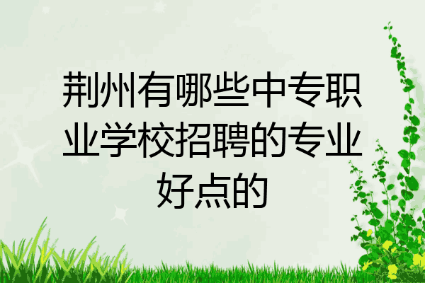 荆州有哪些中专职业学校招聘的专业好点的