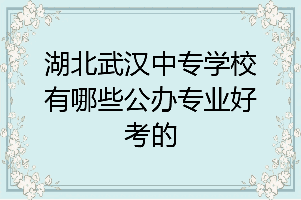 湖北武汉中专学校有哪些公办专业好考的