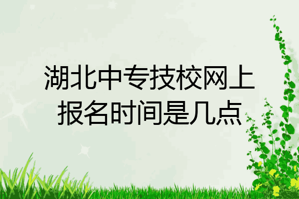 湖北中专技校网上报名时间是几点