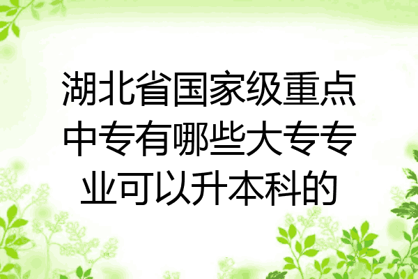 湖北省国家级重点中专有哪些大专专业可以升本科的