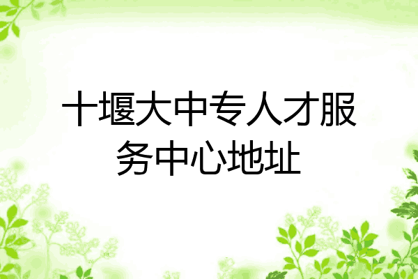 十堰大中专人才服务中心地址