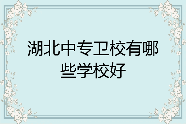 湖北中专卫校有哪些学校好