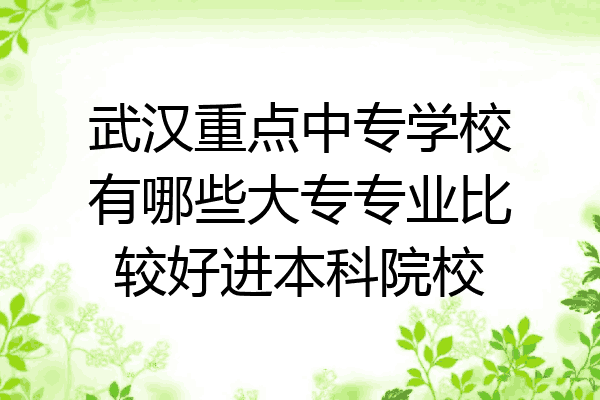 武汉重点中专学校有哪些大专专业比较好进本科院校