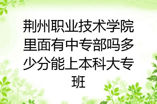 荆州职业技术学院里面有中专部吗多少分能上本科大专班