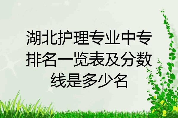 湖北护理专业中专排名一览表及分数线是多少名