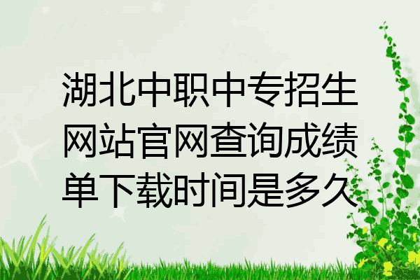 湖北中职中专招生网站官网查询成绩单下载时间是多久