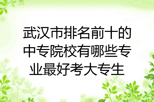 武汉市排名前十的中专院校有哪些专业最好考大专生