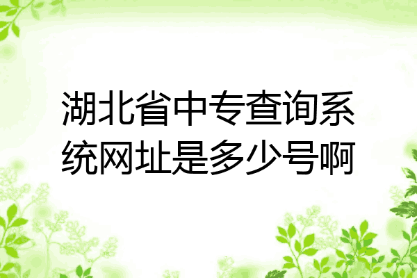 湖北省中专查询系统网址是多少号啊