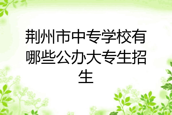 荆州市中专学校有哪些公办大专生招生