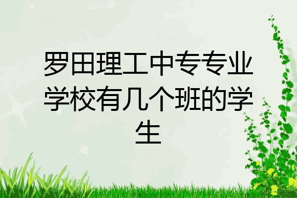 罗田理工中专专业学校有几个班的学生