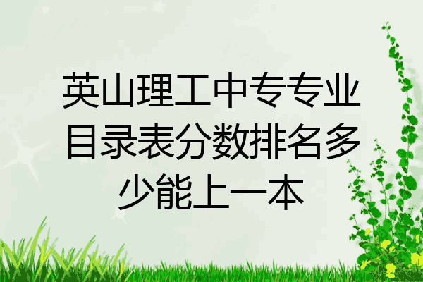 英山理工中专专业目录表分数排名多少能上一本