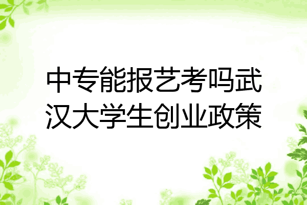 中专能报艺考吗武汉大学生创业政策