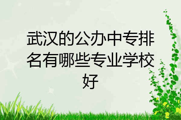 武汉的公办中专排名有哪些专业学校好
