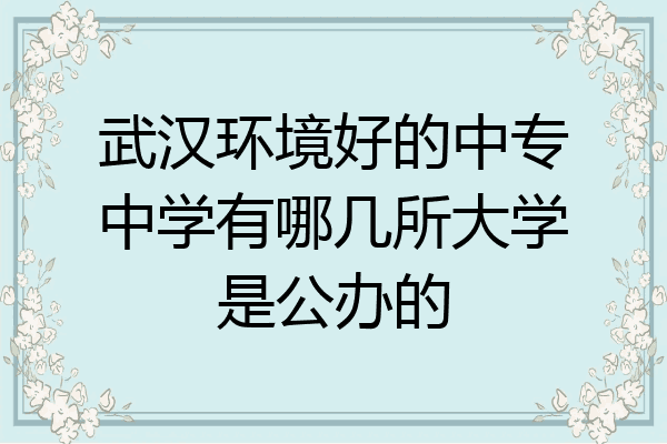 武汉环境好的中专中学有哪几所大学是公办的