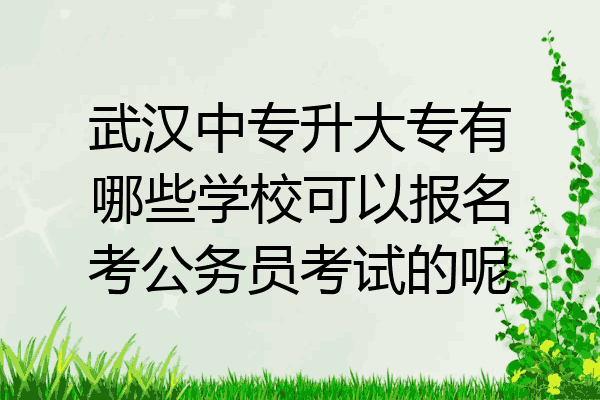 武汉中专升大专有哪些学校可以报名考公务员考试的呢