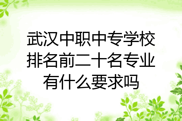 武汉中职中专学校排名前二十名专业有什么要求吗