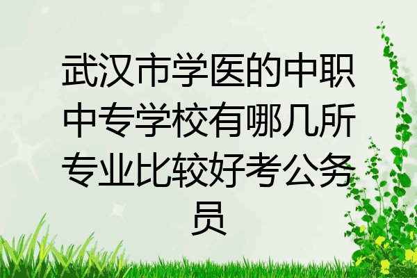 武汉市学医的中职中专学校有哪几所专业比较好考公务员