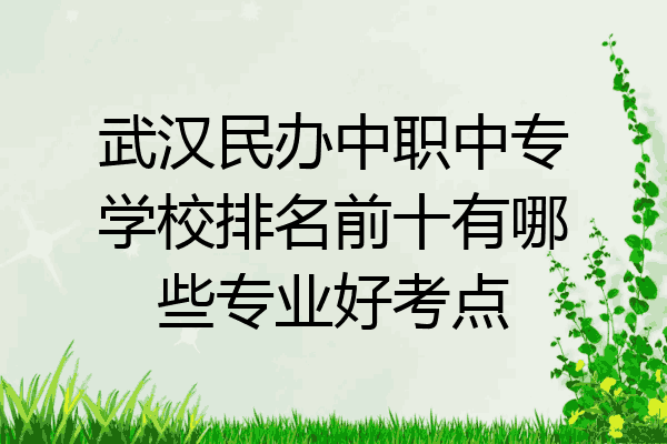 武汉民办中职中专学校排名前十有哪些专业好考点
