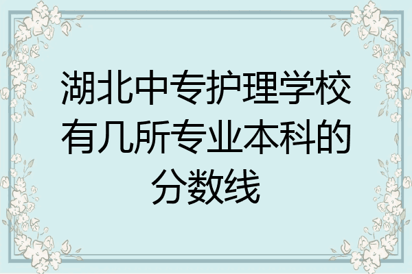 湖北中专护理学校有几所专业本科的分数线