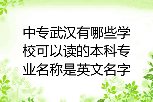 中专武汉有哪些学校可以读的本科专业名称是英文名字