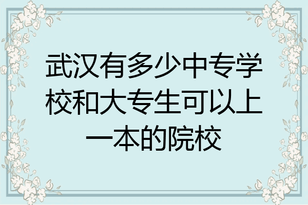 武汉有多少中专学校和大专生可以上一本的院校