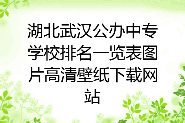 湖北武汉公办中专学校排名一览表图片高清壁纸下载网站