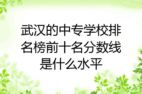 武汉的中专学校排名榜前十名分数线是什么水平