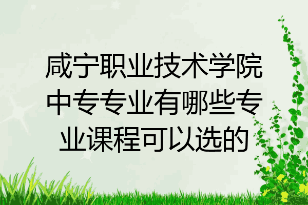 咸宁职业技术学院中专专业有哪些专业课程可以选的