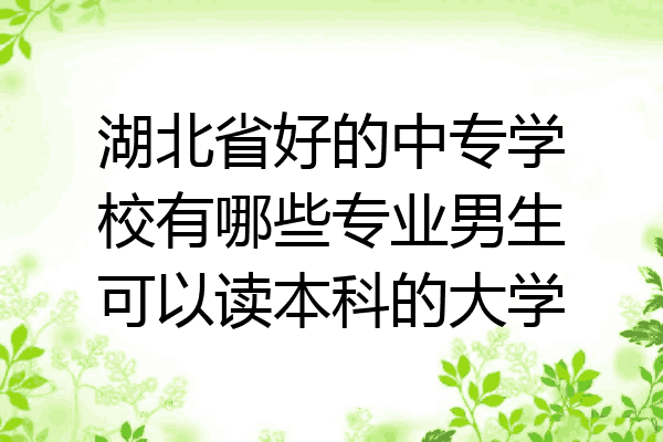 湖北省好的中专学校有哪些专业男生可以读本科的大学