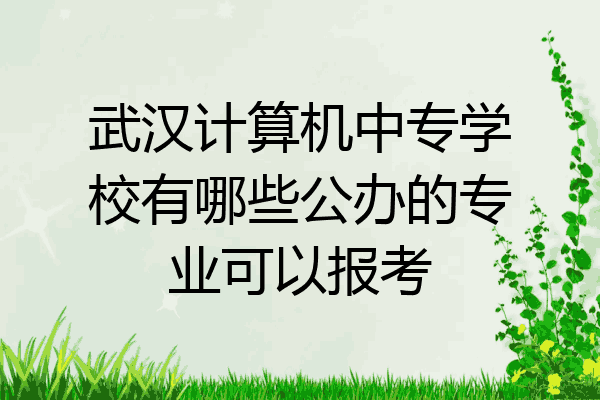 武汉计算机中专学校有哪些公办的专业可以报考
