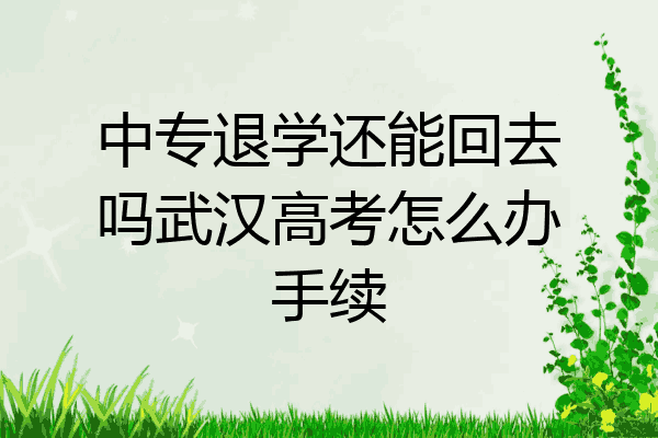 中专退学还能回去吗武汉高考怎么办手续