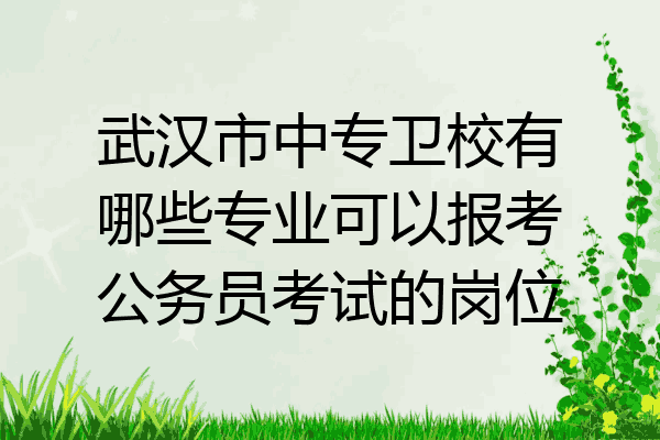 武汉市中专卫校有哪些专业可以报考公务员考试的岗位