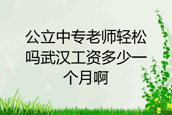 公立中专老师轻松吗武汉工资多少一个月啊