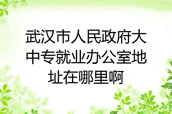 武汉市人民政府大中专就业办公室地址在哪里啊