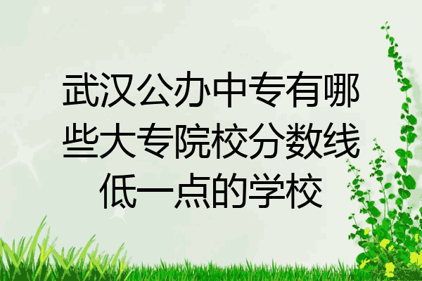 武汉公办中专有哪些大专院校分数线低一点的学校