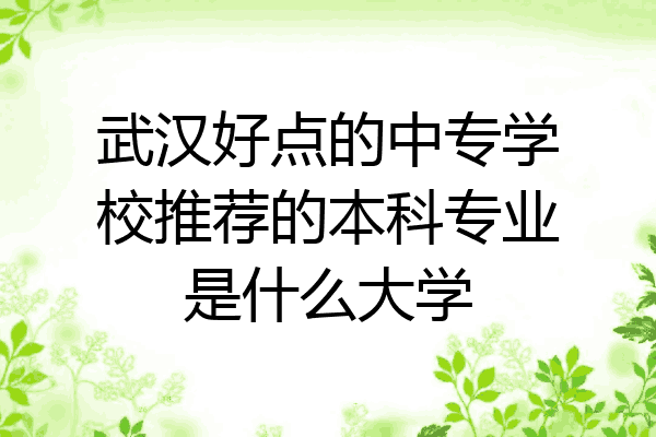 武汉好点的中专学校推荐的本科专业是什么大学