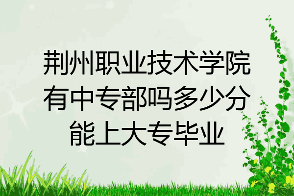 荆州职业技术学院有中专部吗多少分能上大专毕业