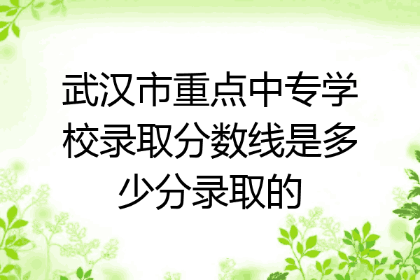 武汉市重点中专学校录取分数线是多少分录取的