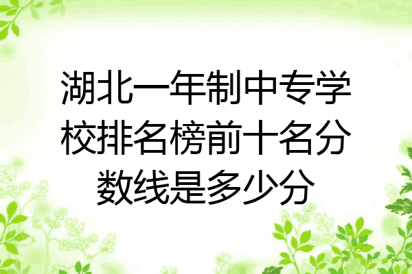 湖北一年制中专学校排名榜前十名分数线是多少分