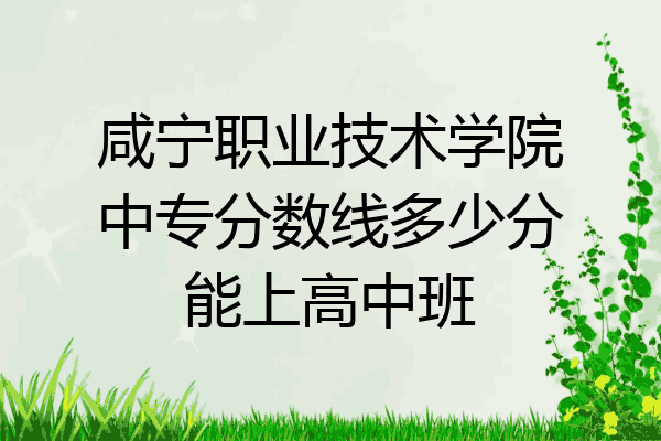 咸宁职业技术学院中专分数线多少分能上高中班