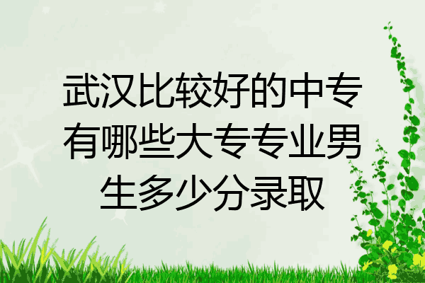武汉比较好的中专有哪些大专专业男生多少分录取