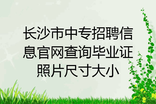长沙市中专招聘信息官网查询毕业证照片尺寸大小