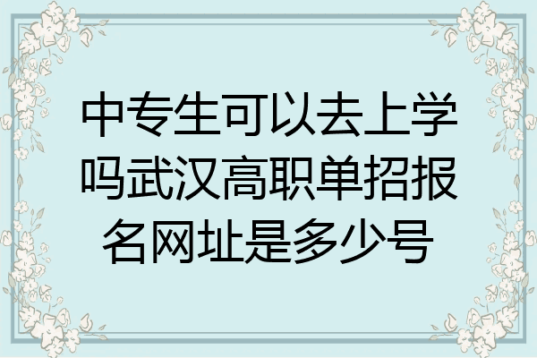 中专生可以去上学吗武汉高职单招报名网址是多少号