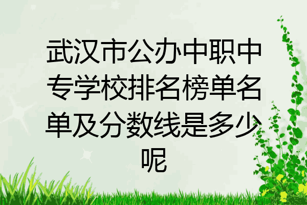 武汉市公办中职中专学校排名榜单名单及分数线是多少呢