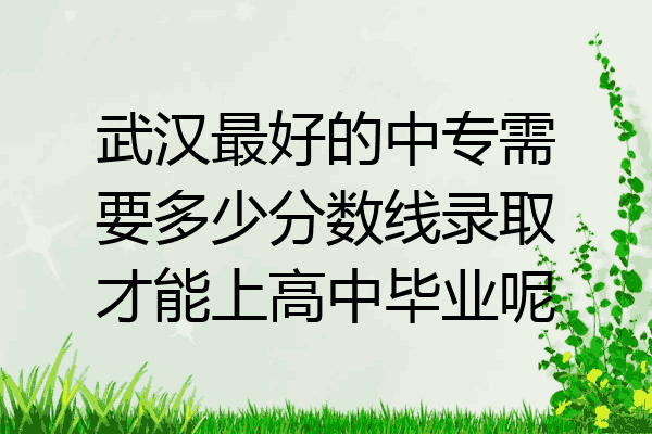 武汉最好的中专需要多少分数线录取才能上高中毕业呢
