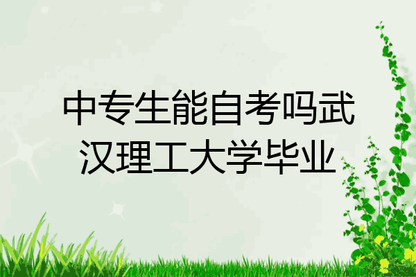 中专生能自考吗武汉理工大学毕业