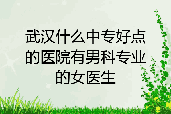 武汉什么中专好点的医院有男科专业的女医生