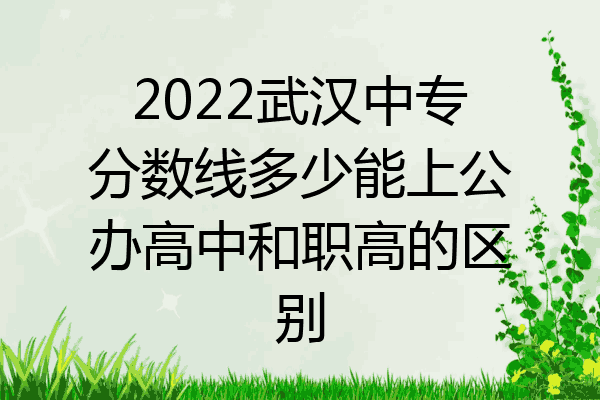 2022武汉中专分数线多少能上公办高中和职高的区别