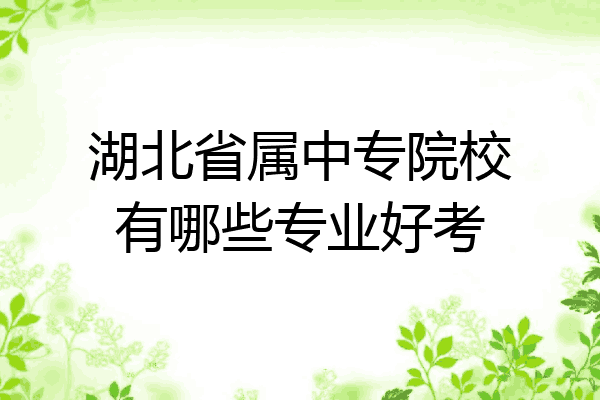 湖北省属中专院校有哪些专业好考
